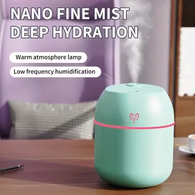 Mint green Egg Humidifier with pink LED ring emitting fine mist on a wooden table, Egg Humidifier Price in Pakistan